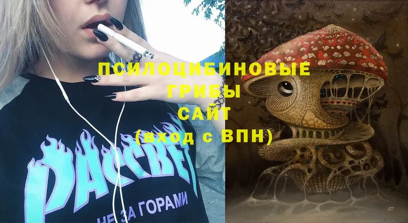 Псилоцибиновые грибы Psilocybine cubensis  Томск 